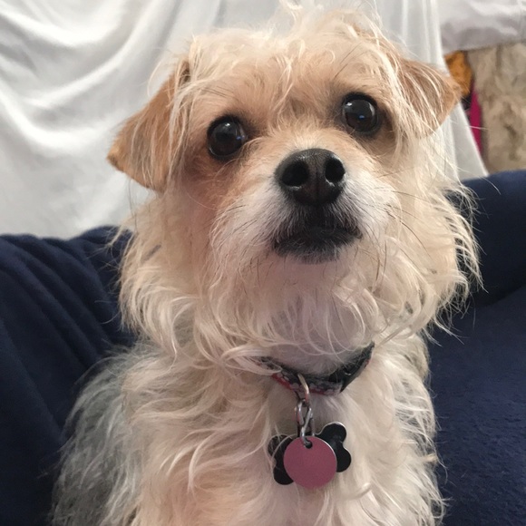 Meet your Posher, Kelly - Picture 1 of 2